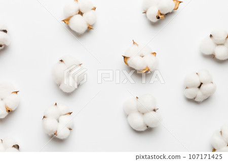 Autumn Floral Flat lay background composition. Dried white fluffy cotton flower branchwith green leaf top view on colored table with copy space Autumn Floral Flat lay background composition. Dried white fluffy cotton flower branchwith green leaf top view on colored table with copy space 107171425