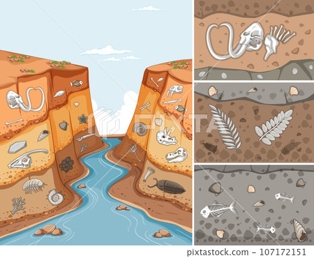 Fossils and the Geological Time Scale Fossils and the Geological Time Scale 107172151