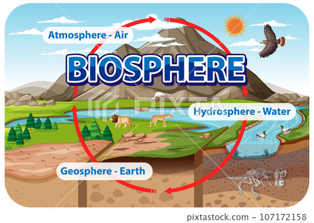Biosphere Ecology Infographic for Learning Biosphere Ecology Infographic for Learning 107172158