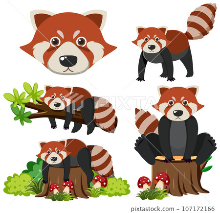 Set of red panda cartoon character 107172166