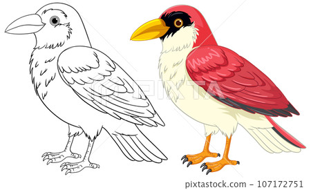 Cartoon Bird Standing Isolated on White 107172751