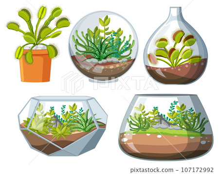 Cartoon Succulent Plant and Venus Flytrap Terrarium Cartoon Succulent Plant and Venus Flytrap Terrarium 107172992
