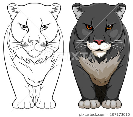 Black Panther Cartoon Walking 107173010