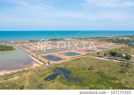Aerial view of clear blue turquoise seawater, Andaman sea in Phuket island in summer season, Thailand. Water in ocean pattern texture wallpaper background. 107173303