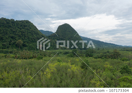 Aerial top view of lush green trees from above in tropical forest in national park in summer season. Natural landscape. Pattern texture background. 107173304