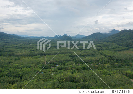 Aerial top view of lush green trees from above in tropical forest in national park in summer season. Natural landscape. Pattern texture background. Aerial top view of lush green trees from above in tropical forest in national park in summer season. Natural landscape. Pattern texture background. 107173336