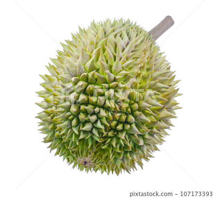 Durian fruit isolated on white background 107173393