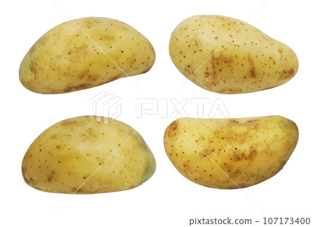 Potato isolated on white background 107173400