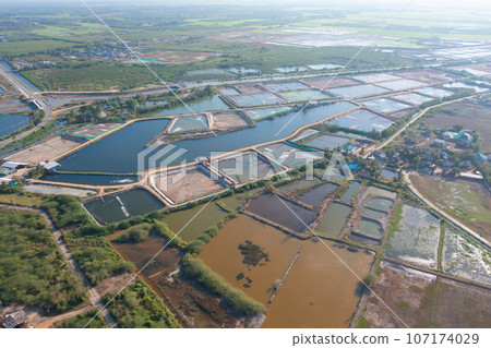 Aerial view of natural sea salt ponds, lake or sea. Farm field outdoor in traditional industry in Thailand. Asia culture. Agriculture irrigation. River reflection. 107174029