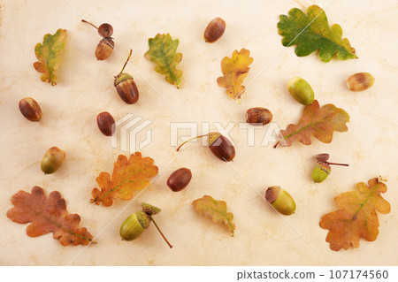 Top view of acorns and oak leaves on vintage background. Autumn forest stuff. Top view of acorns and oak leaves on vintage background. Autumn forest stuff. 107174560
