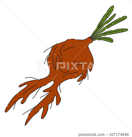 Mandrake root. Cute witchcraft element. Halloween potion ingredient icon 107174686