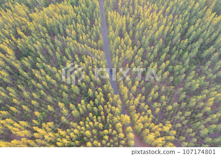 Aerial top view of lush green trees from above in tropical forest in national park in summer season. Natural landscape. Pattern texture background. Aerial top view of lush green trees from above in tropical forest in national park in summer season. Natural landscape. Pattern texture background. 107174801