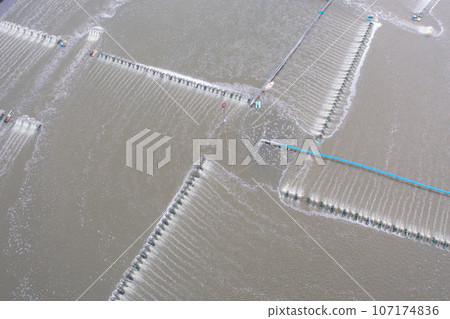 Aerial view of natural sea salt ponds, lake or sea. Farm field outdoor in traditional industry in Thailand. Asia culture. Agriculture irrigation. River reflection. 107174836