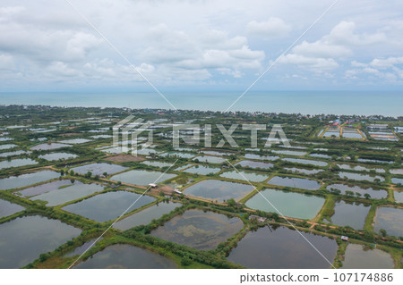 Aerial view of natural sea salt ponds, lake or sea. Farm field outdoor in traditional industry in Thailand. Asia culture. Agriculture irrigation. River reflection. 107174886