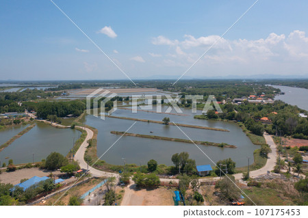 Aerial view of fishing trap net in canel with fisherman urban city village town houses, lake or river. Nature landscape fisheries and fishing tools at Pak Pha, Songkhla, Thailand. Aquaculture farming 107175453
