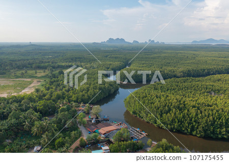 Aerial top view of a garden park with green mangrove forest trees, river, pond or lake. Nature landscape background, Thailand. 107175455
