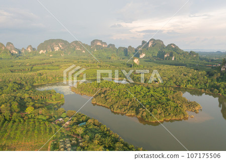 Aerial top view of a garden park with green mangrove forest trees, river, pond or lake. Nature landscape background, Thailand. Aerial top view of a garden park with green mangrove forest trees, river, pond or lake. Nature landscape background, Thailand. 107175506