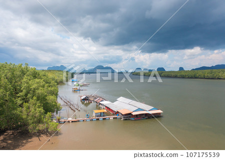 Aerial view of fishing trap net in canel with fisherman urban city village town houses, lake or river. Nature landscape fisheries and fishing tools at Pak Pha, Songkhla, Thailand. Aquaculture farming Aerial view of fishing trap net in canel with fisherman urban city village town houses, lake or river. Nature landscape fisheries and fishing tools at Pak Pha, Songkhla, Thailand. Aquaculture farming 107175539