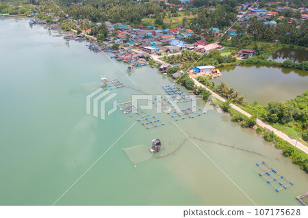 Aerial view of fishing trap net in canel with fisherman urban city village town houses, lake or river. Nature landscape fisheries and fishing tools at Pak Pha, Songkhla, Thailand. Aquaculture farming Aerial view of fishing trap net in canel with fisherman urban city village town houses, lake or river. Nature landscape fisheries and fishing tools at Pak Pha, Songkhla, Thailand. Aquaculture farming 107175628