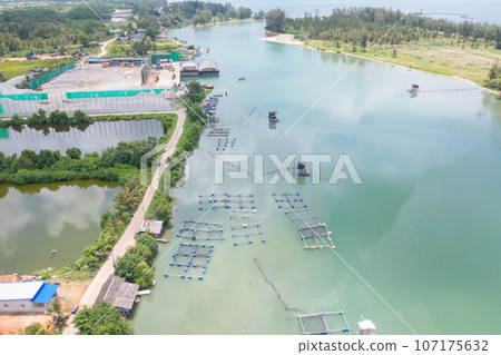 Aerial view of fishing trap net in canel with fisherman urban city village town houses, lake or river. Nature landscape fisheries and fishing tools at Pak Pha, Songkhla, Thailand. Aquaculture farming Aerial view of fishing trap net in canel with fisherman urban city village town houses, lake or river. Nature landscape fisheries and fishing tools at Pak Pha, Songkhla, Thailand. Aquaculture farming 107175632