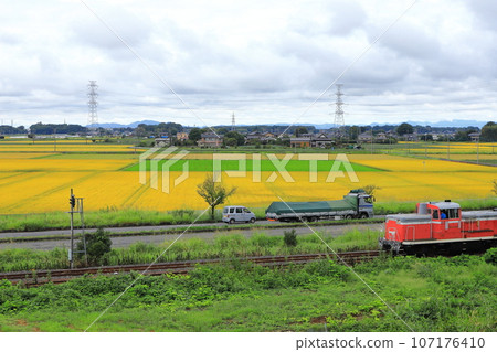 Moka Railway “Autumn countryside around Orimoto Station and R294 in the background” Moka Railway “Autumn countryside around Orimoto Station and R294 in the background” 107176410