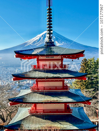 從山梨縣新倉山淺間公園看到的富士山 107177967