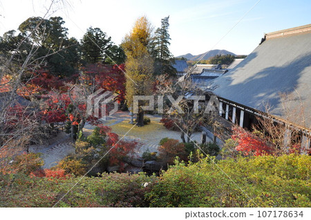 茨城縣櫻川市橫三月寺的秋葉，以及寺內的楓樹和銀杏樹。 107178634
