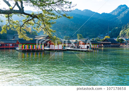 [World Heritage Site Itsukushima Shrine] [Aki Kuni Ichinomiya] Precincts on a sunny New Year's morning Hatsukaichi City, Hiroshima Prefecture 107178658