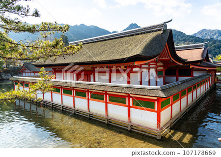 [World Heritage Site Itsukushima Shrine] [Aki Kuni Ichinomiya] Shrine building 2 on a sunny morning in the New Year Hatsukaichi City, Hiroshima Prefecture 107178669