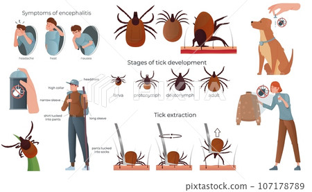 Ticks Insect Icon Set 107178789