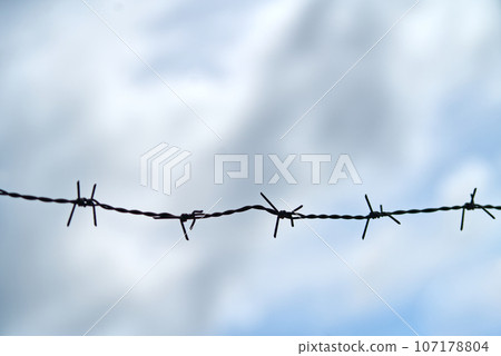 Silhouette single barbed wire 107178804