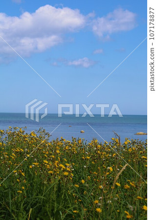 夏天,在北海道宗谷地區的筆直道路上行駛時,我遇到了伸入鄂霍次克海的千疊岩。夏天到了海邊你會想到什麼? 夏天,在北海道宗谷地區的筆直道路上行駛時,我遇到了伸入鄂霍次克海的千疊岩。夏天到了海邊你會想到什麼? 107178877