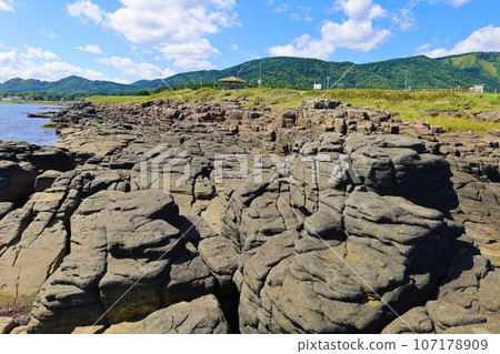 While driving along a straight road in the Soya region of Hokkaido in the summer, I came across Senjoiwa Rock, which juts out into the Sea of Okhotsk. What do you think about at the beach in summer? 107178909