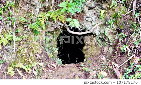A hole for a pottery kiln in an earthen wall in Chiba Prefecture A hole for a pottery kiln in an earthen wall in Chiba Prefecture 107179176