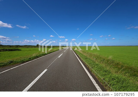 北海道最北端,一條筆直的道路穿過一片草地,俯瞰鄂霍次克,它的名字叫猿府村道江佐努卡線,一條在夏日天空中閃閃發光的遊覽線路。 北海道最北端,一條筆直的道路穿過一片草地,俯瞰鄂霍次克,它的名字叫猿府村道江佐努卡線,一條在夏日天空中閃閃發光的遊覽線路。 107179295
