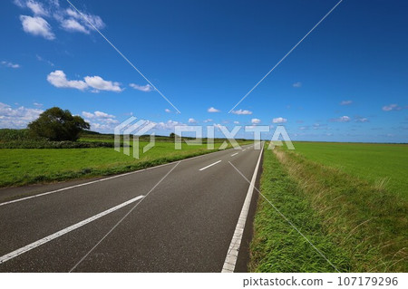 北海道最北端,一條筆直的道路穿過一片草地,俯瞰鄂霍次克,它的名字叫猿府村道江佐努卡線,一條在夏日天空中閃閃發光的遊覽線路。 北海道最北端,一條筆直的道路穿過一片草地,俯瞰鄂霍次克,它的名字叫猿府村道江佐努卡線,一條在夏日天空中閃閃發光的遊覽線路。 107179296