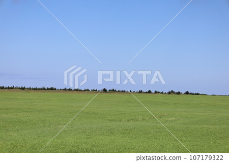 The northernmost part of Hokkaido, a straight road through a meadow overlooking Okhotsk, its name is Sarufutsu Village Road Esanuka Line, a touring tour that shines in the summer sky. The northernmost part of Hokkaido, a straight road through a meadow overlooking Okhotsk, its name is Sarufutsu Village Road Esanuka Line, a touring tour that shines in the summer sky. 107179322
