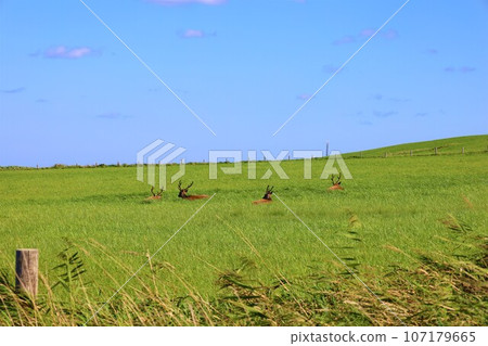 您如何看待北海道、日本最北端、北緯45度的宗谷岬？北海道夏空，遠處庫頁島的美景 107179665