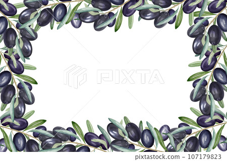 watercolor frame with branch of black olives with leaves and fruits, hand drawn illustration of olive isolated on white background 107179823