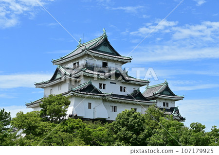 The castle tower seen from the Honmaru Goten ruins of Wakayama Castle The castle tower seen from the Honmaru Goten ruins of Wakayama Castle 107179925