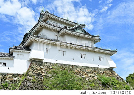 和歌山城天守閣(入口附近) 和歌山城天守閣(入口附近) 107180148