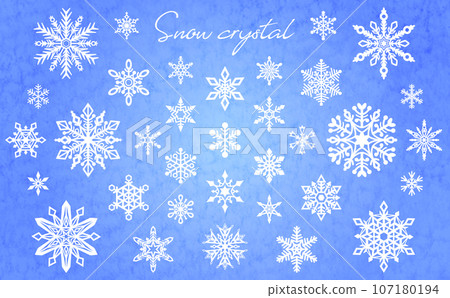 精緻的雪花插圖集 107180194