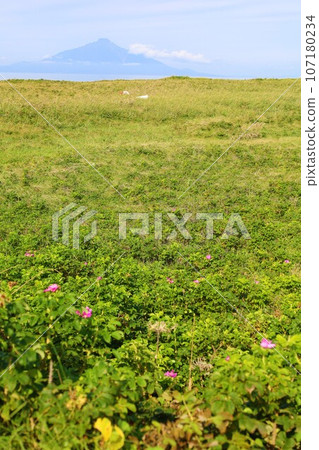 Sunset overlooking Rishiri Island offshore from the Sarobetsu wilderness in Rishiri Rebun-Sarobetsu National Park, Hokkaido, Japan's largest high-rise wetland 107180234