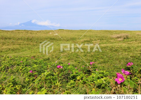 從日本最大的高層濕地北海道利尻禮文佐呂別國立公園的佐呂別荒野俯瞰利尻島近海的日落 從日本最大的高層濕地北海道利尻禮文佐呂別國立公園的佐呂別荒野俯瞰利尻島近海的日落 107180251
