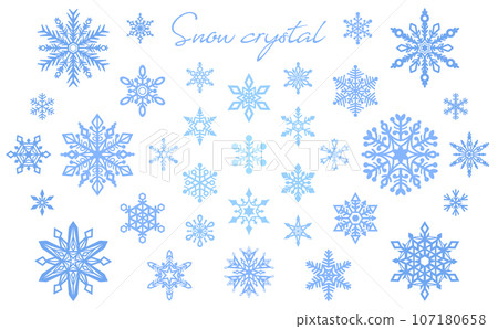 Delicate snowflake illustration set_color 107180658
