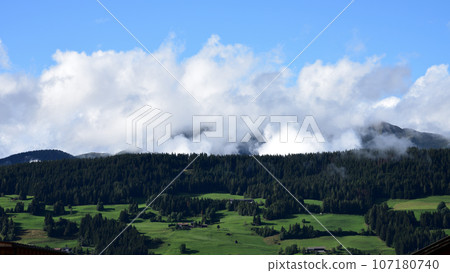 A valley of forests A valley of forests 107180740