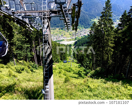 Up and down in the forest 107181107