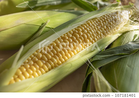 Corn Kimi Take Corn Kimi Take 107181401