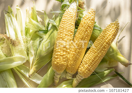 玉米Kimi Take 107181427