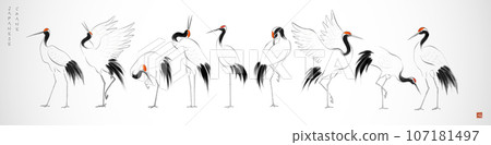 Japanese red-crowned crane birds in oriental style on white background. Translation of hieroglyph - well-being Japanese red-crowned crane birds in oriental style on white background. Translation of hieroglyph - well-being 107181497